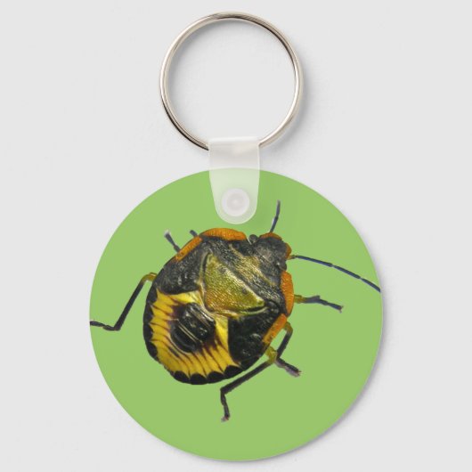 Groene Stink Bug Nymph Coördinerende Punten Sleutelhanger (Voorkant)