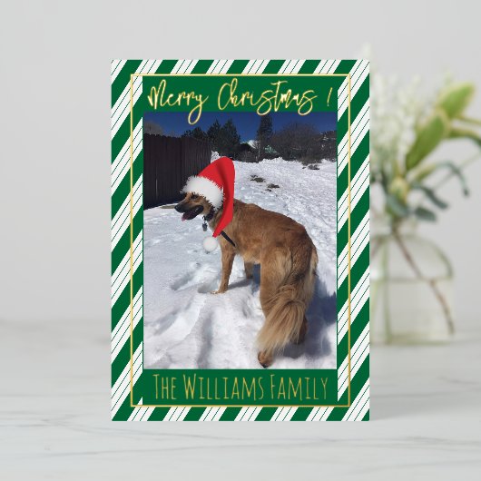 Groene Strepen Enkele Hond Foto Folie Kerstkaart Folie Feestdagenkaart (Staand Voorkant)
