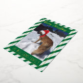 Groene Strepen Enkele Hond Foto Folie Kerstkaart Folie Feestdagenkaart (Gedraaid)