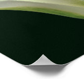 Groene stripper gaat dicht poster (Hoek)