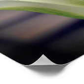 Groene stripper gaat dicht poster (Hoek)