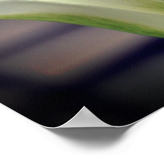 Groene stripper gaat dicht poster (Hoek)