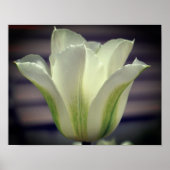 Groene stripper gaat dicht poster (Voorkant)