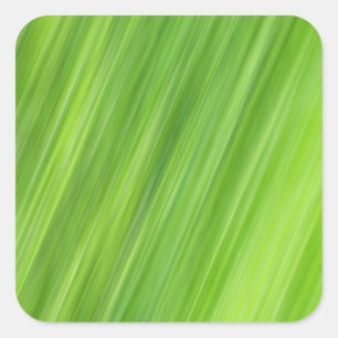 Groene strips vierkante sticker