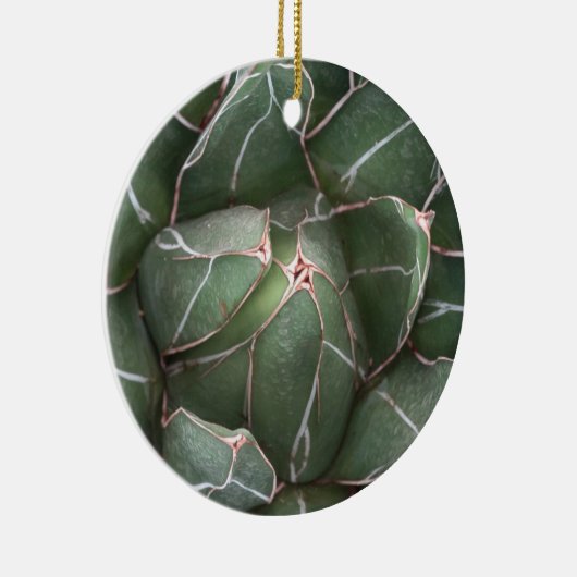 Groene Succulent Circle Ornament (Rechts)