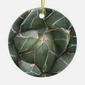 Groene Succulent Circle Ornament (Voorkant)