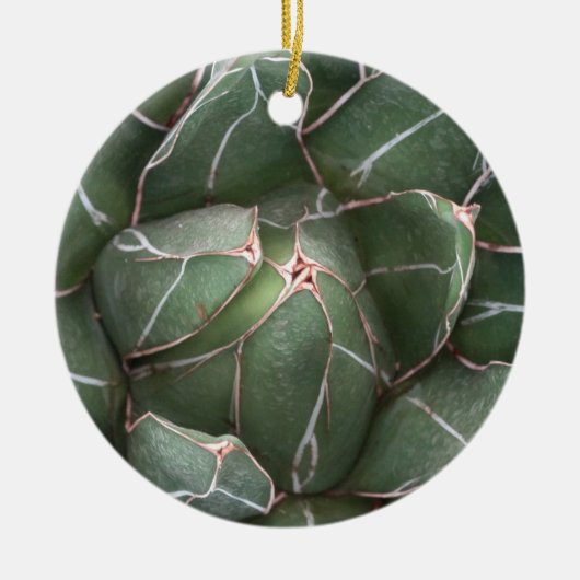Groene Succulent Circle Ornament (Voorkant)