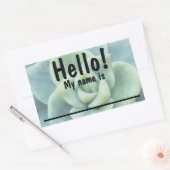 Groene Succulent Naam tag Stickers (Envelop)
