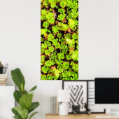 Groene Succulente Bloemen Poster (Thuiskantoor)