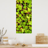 Groene Succulente Bloemen Poster (Keuken)