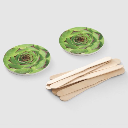 Groene Succulente Cactus Lente Bloem Handwaaier (Niet-gemonteerd)