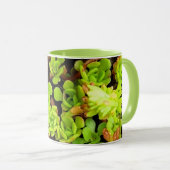 Groene Succulente Flowers Mok (Voorkant rechts)