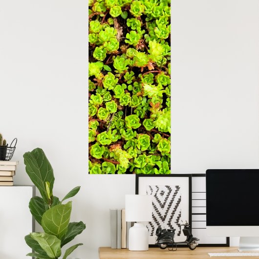 Groene Succulente Flowers Poster (Thuiskantoor)