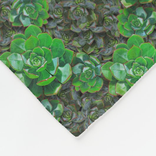 Groene Succulente Lattice Pattern Fleece Blanket (Hoek)