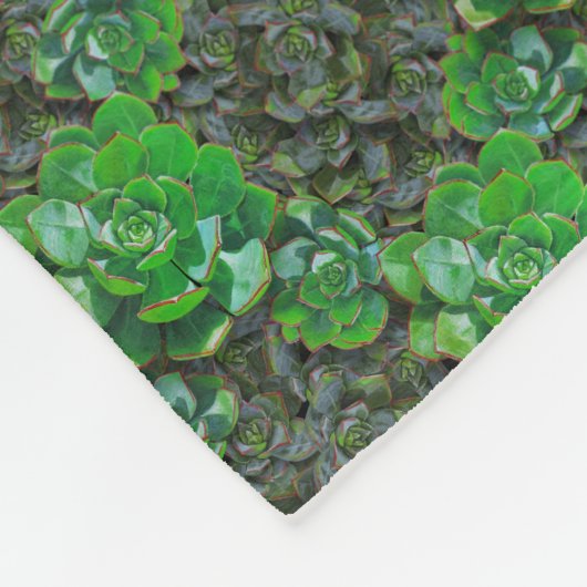 Groene Succulente Lattice Pattern Fleece Blanket Deken (Hoek)