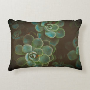 Groene succulente Planten Accent Kussen
