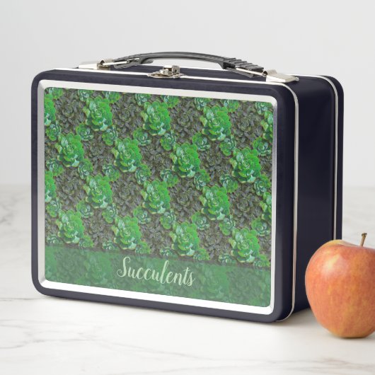 Groene Succulents Lattice Pattern Lunch Box Box (In situ)