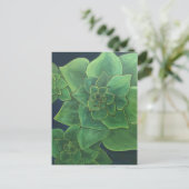 Groene succulturen briefkaart (Staand voorkant)