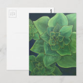 Groene succulturen briefkaart (Voorkant / Achterkant)