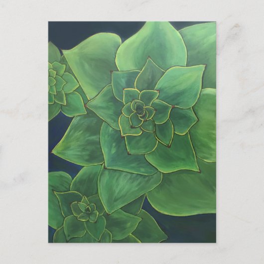 Groene succulturen briefkaart (Voorkant)