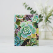 Groene succulturen met rode contouren briefkaart (Staand voorkant)