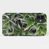 Groene Suculenten iPhone SE + iPhone 5/5S Case-Mate iPhone Case (Achterkant (horizontaal))