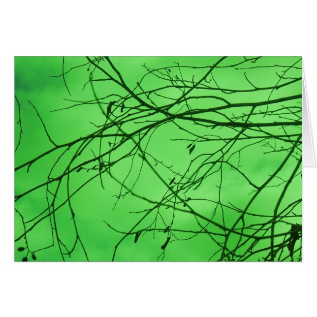 Groene Takken (Voorkant Horizontaal)