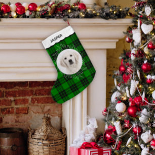 Groene Tartan Plaid Winter Krans Hond Foto Kleine Kerstsok