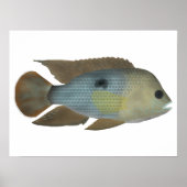 Groene terreur poster (Voorkant)