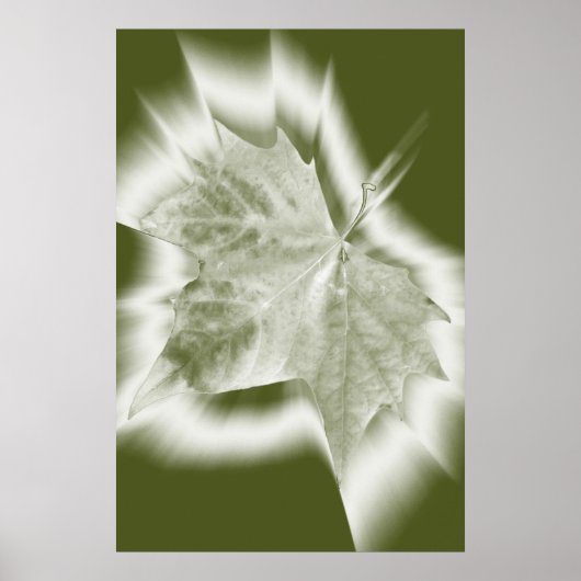groene tinten poster (Voorkant)