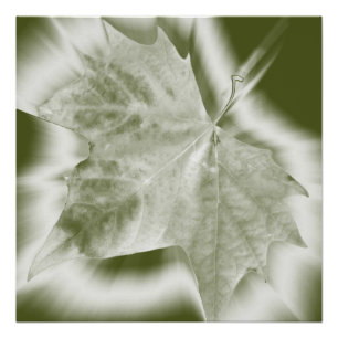 groene tinten poster