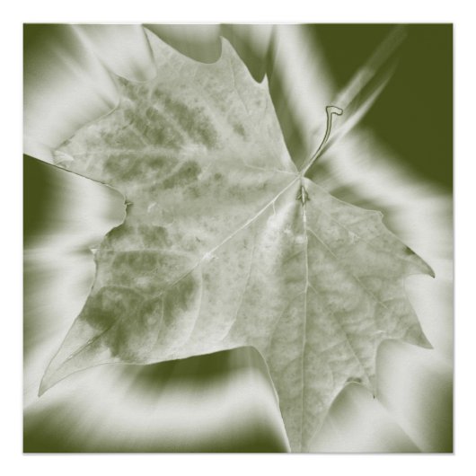 groene tinten poster (Voorkant)