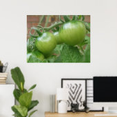 Groene tomaten afdrukken poster (Thuiskantoor)