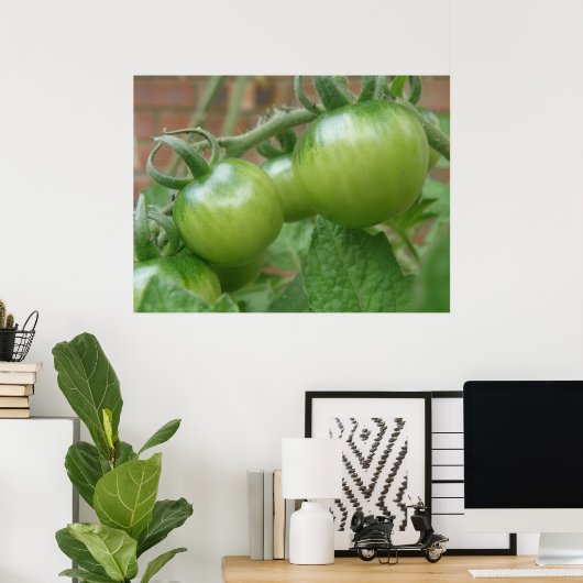 Groene tomaten afdrukken poster (Thuiskantoor)