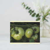 Groene tomaten briefkaart (Staand voorkant)