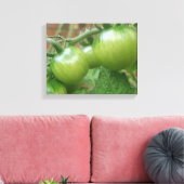 Groene Tomaten Canvasprint Canvas Afdruk (Insitu (Woonkamer))