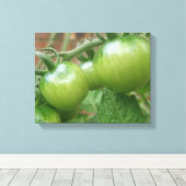 Groene Tomaten Canvasprint Canvas Afdruk (Insitu (Houten vloer))