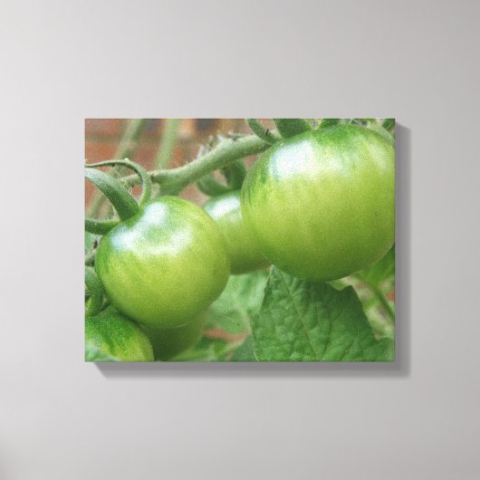 Groene Tomaten Canvasprint Canvas Afdruk (Voorkant)