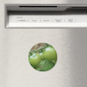 Groene tomaten Magnet (Insitu (Vaatwasser))
