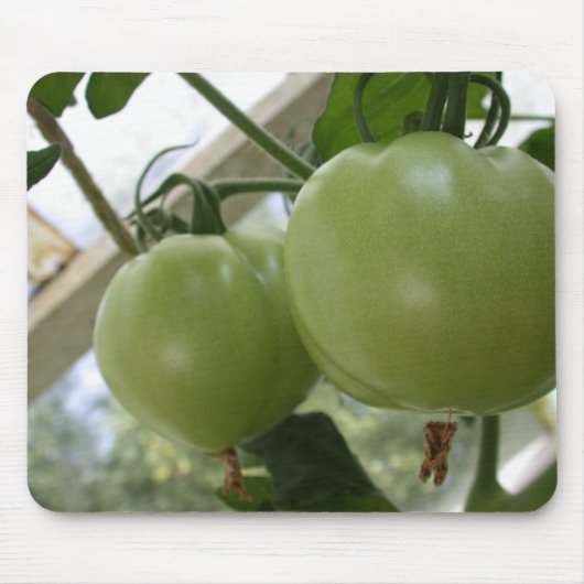 Groene tomaten muismat (Voorkant)