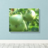 Groene tomaten op wijn canvas afdruk (Insitu (Houten vloer))
