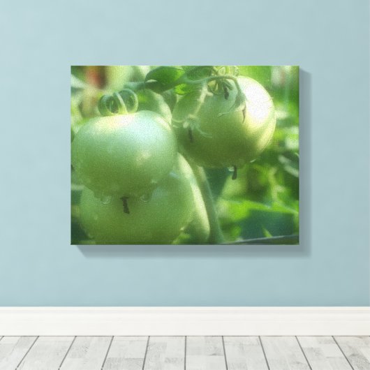 Groene tomaten op wijn canvas afdruk (Insitu (Houten vloer))
