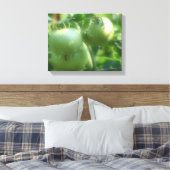 Groene tomaten op wijn canvas afdruk (Insitu (Slaapkamer))