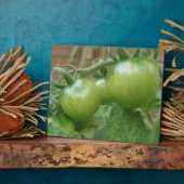 Groene tomaten Plaque Fotoplaat (Zijkant)