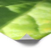 Groene tomaten poster (Hoek)