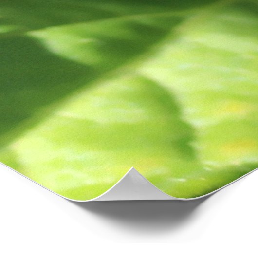 Groene tomaten poster (Hoek)