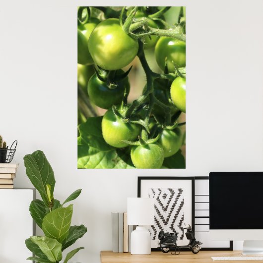 Groene tomaten poster (Thuiskantoor)
