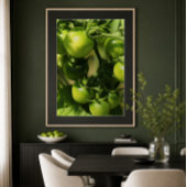 Groene tomaten poster