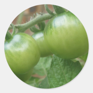 Groene tomaten — Stickers