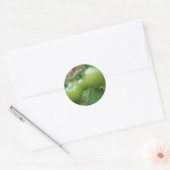 Groene tomaten — Stickers (Envelop)